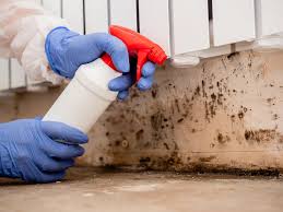 Best Biohazard Mold Removal  in Hauppauge, NY